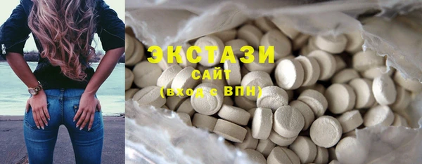 ГАЛЛЮЦИНОГЕННЫЕ ГРИБЫ Козловка
