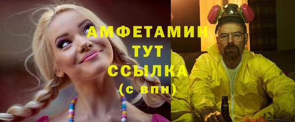 ГАЛЛЮЦИНОГЕННЫЕ ГРИБЫ Козловка