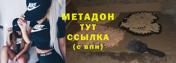ГАЛЛЮЦИНОГЕННЫЕ ГРИБЫ Козловка
