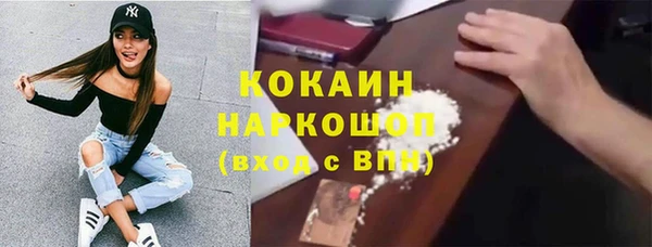 ГАЛЛЮЦИНОГЕННЫЕ ГРИБЫ Козловка