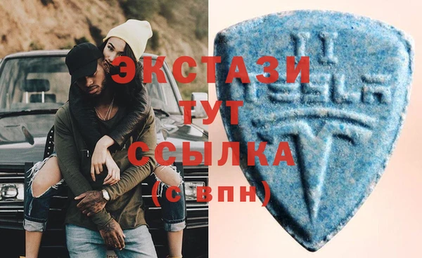 ГАЛЛЮЦИНОГЕННЫЕ ГРИБЫ Козловка