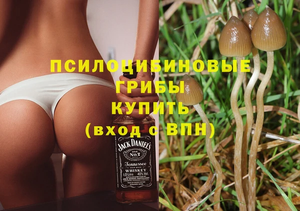 ГАЛЛЮЦИНОГЕННЫЕ ГРИБЫ Козловка