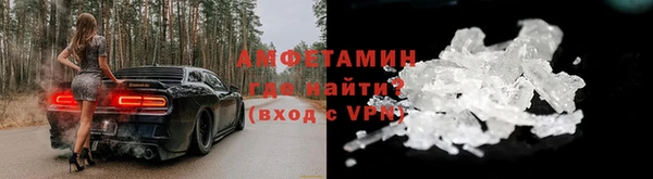 ГАЛЛЮЦИНОГЕННЫЕ ГРИБЫ Козловка