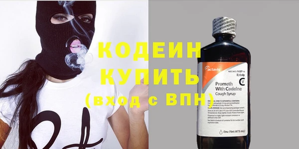ГАЛЛЮЦИНОГЕННЫЕ ГРИБЫ Козловка