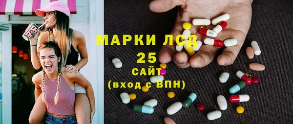 ГАЛЛЮЦИНОГЕННЫЕ ГРИБЫ Козловка