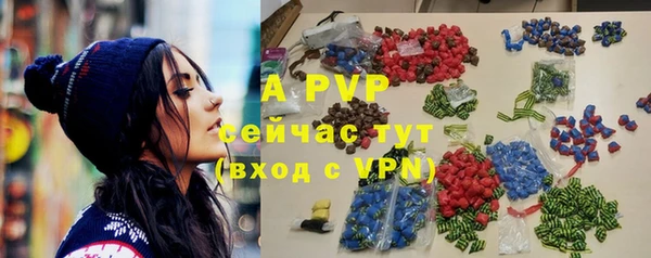 ГАЛЛЮЦИНОГЕННЫЕ ГРИБЫ Козловка