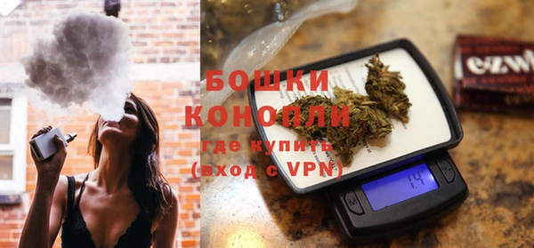 ГАЛЛЮЦИНОГЕННЫЕ ГРИБЫ Козловка