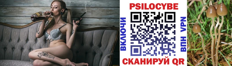 Псилоцибиновые грибы Magic Shrooms  Купить где  Ладушкин 